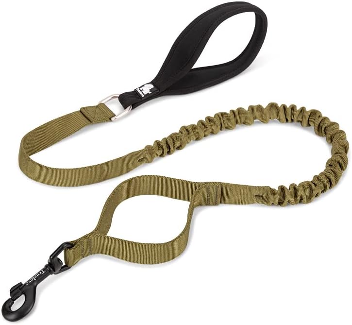 BoulderRush™ – Elastic Control Dog Leash