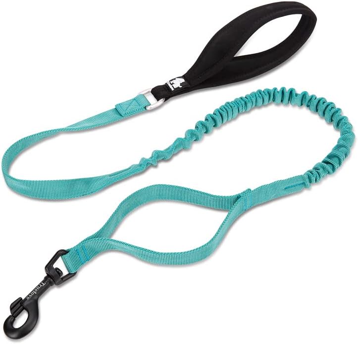 BoulderRush™ – Elastic Control Dog Leash