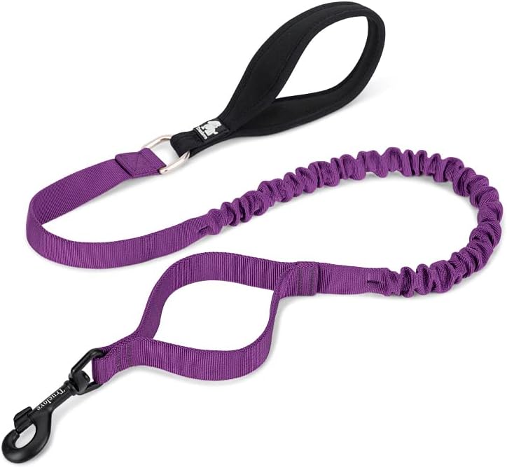 BoulderRush™ – Elastic Control Dog Leash
