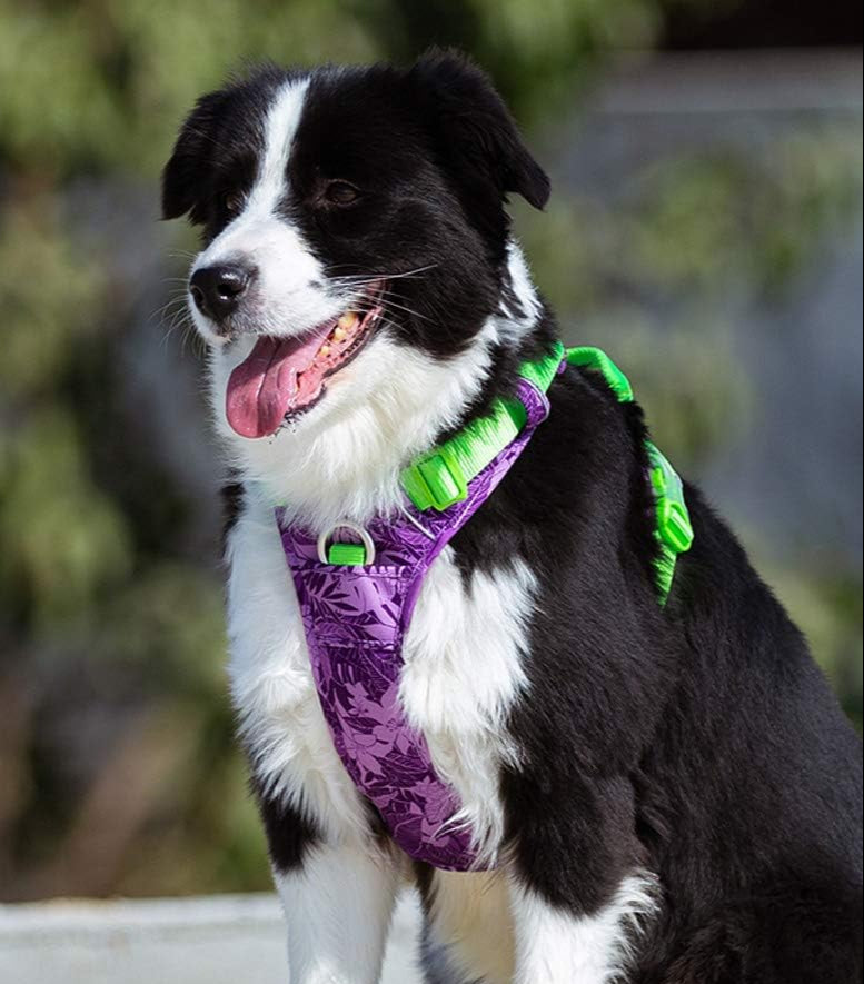 StealthRange™ – Reflective Camouflage Dog Harness
