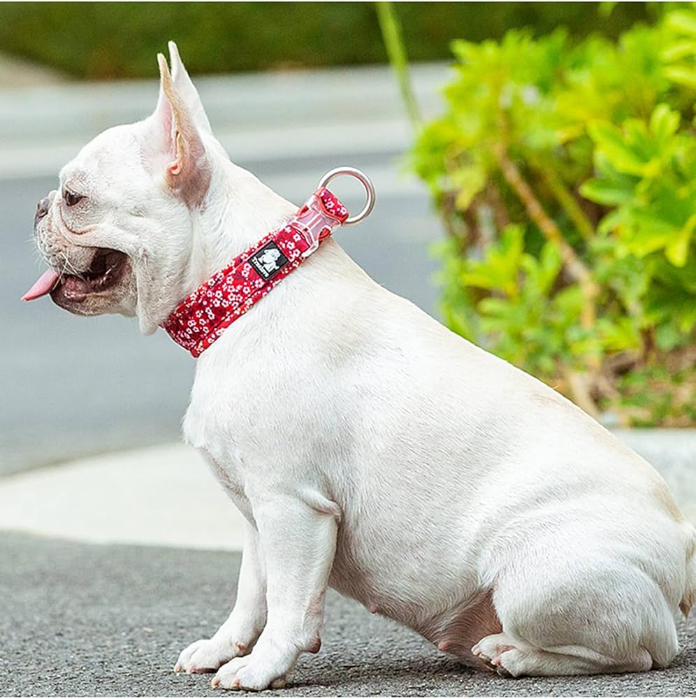 WildBloom™ – Padded Floral Dog Collar