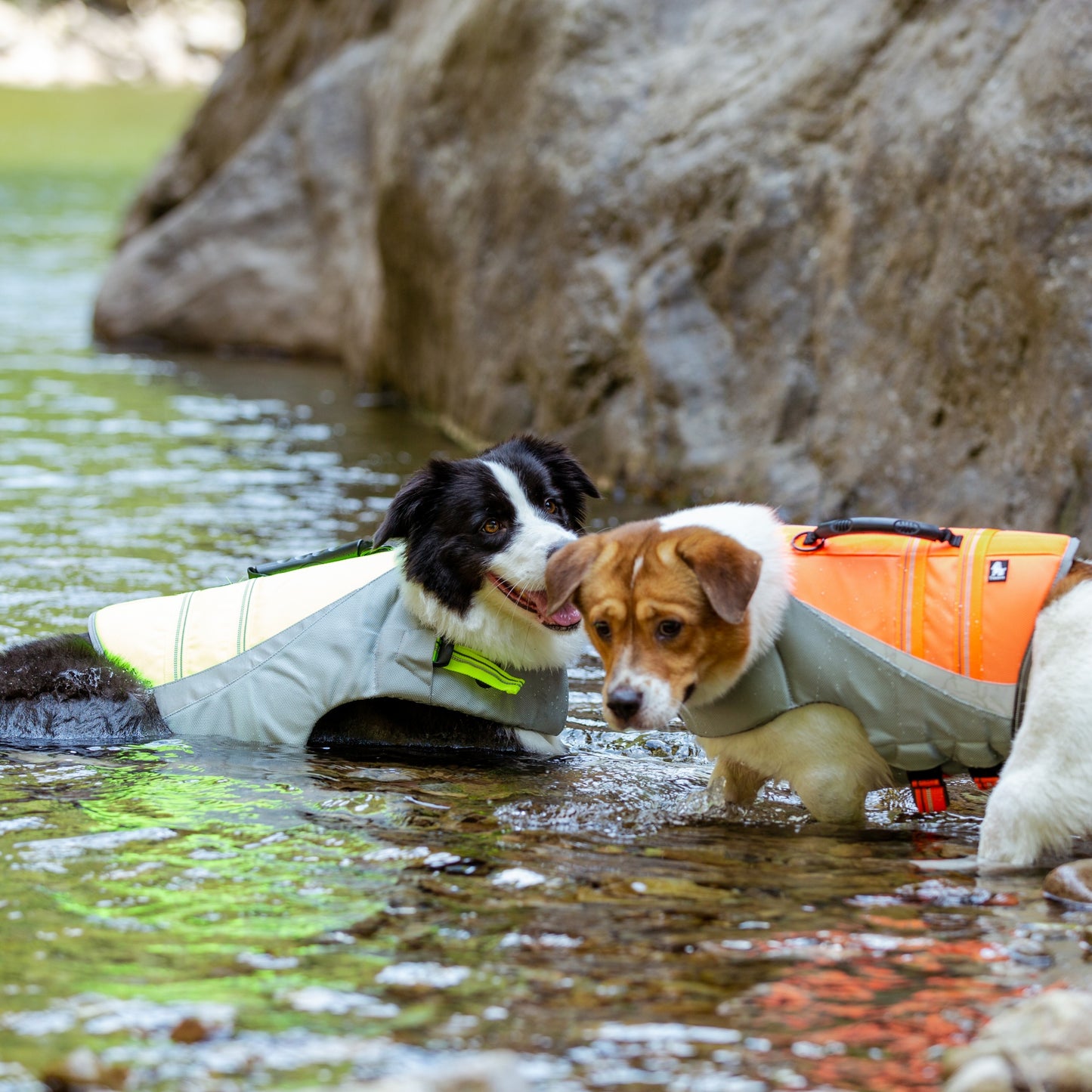 DriftGlide™ – Reflective Dog Life Jacket