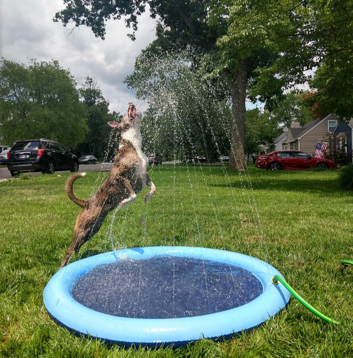 AquaBound™ – Inflatable Pet Pool Pad