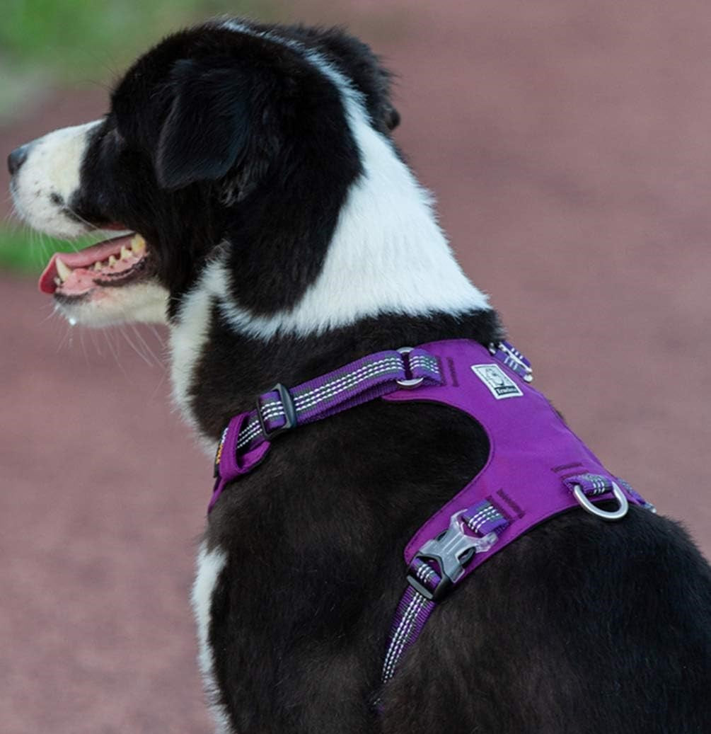 DriftRidge™ – Tactical Control Dog Harness