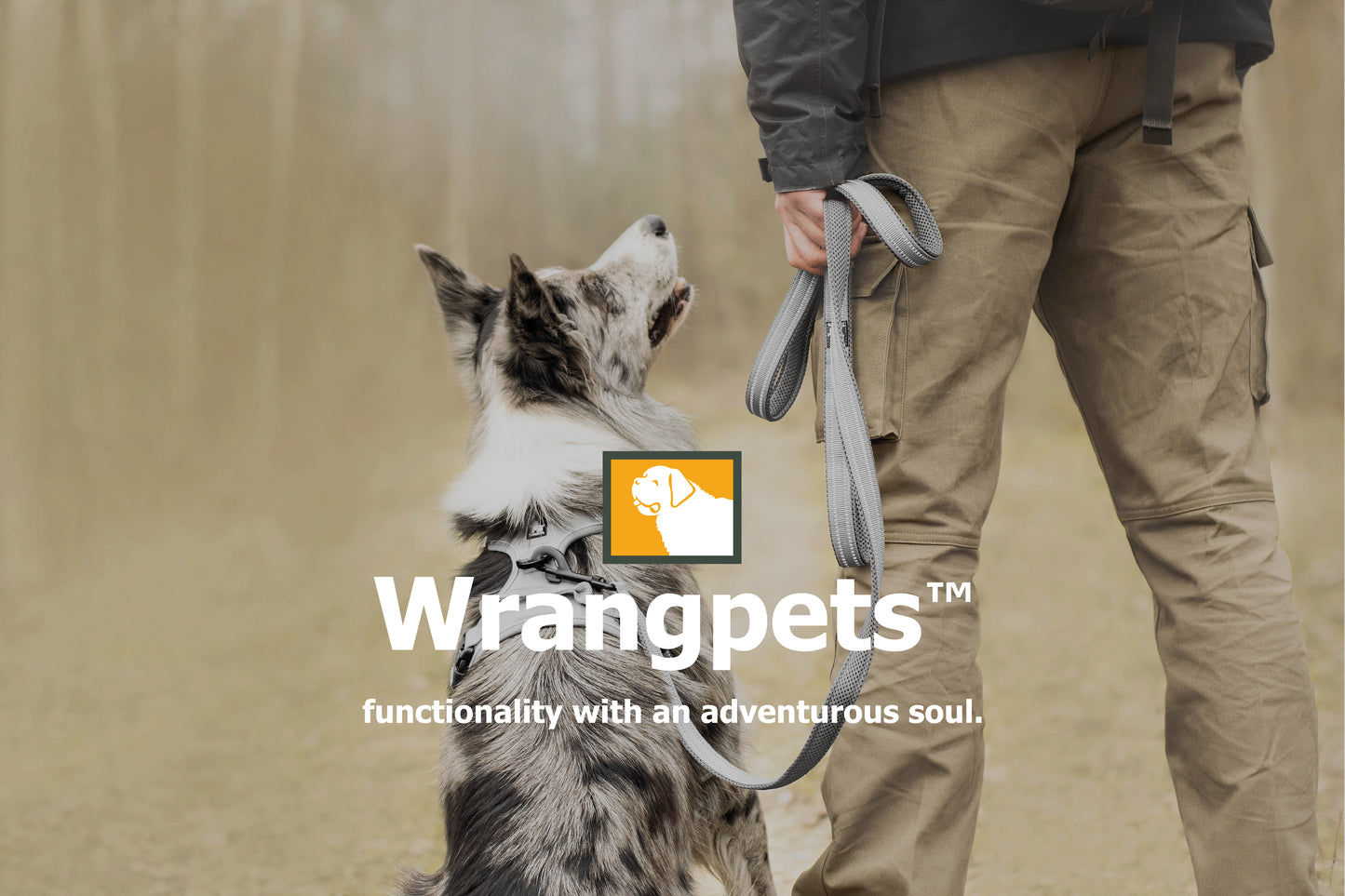 NightStride™ Reflective Adventure Dog Leash