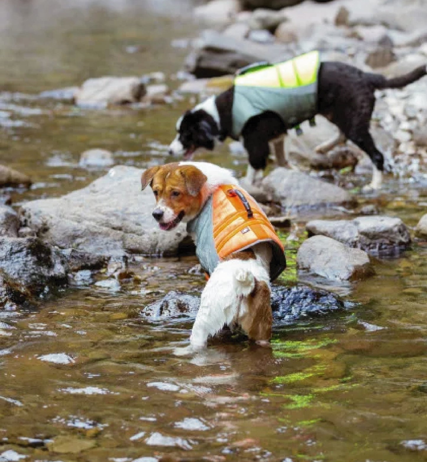 DriftGlide™ – Reflective Dog Life Jacket