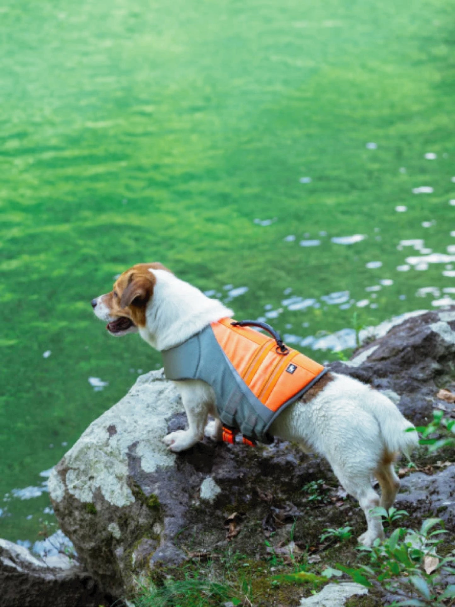 DriftGlide™ – Reflective Dog Life Jacket