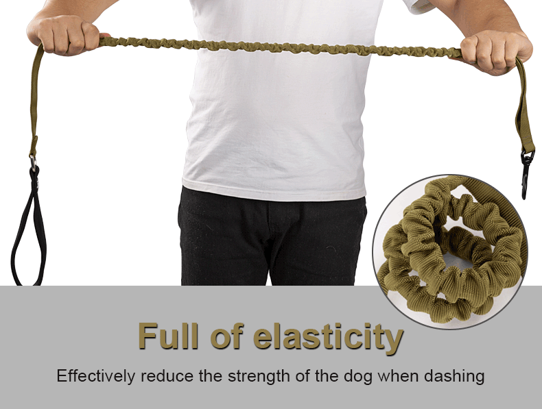 BoulderRush™ – Elastic Control Dog Leash
