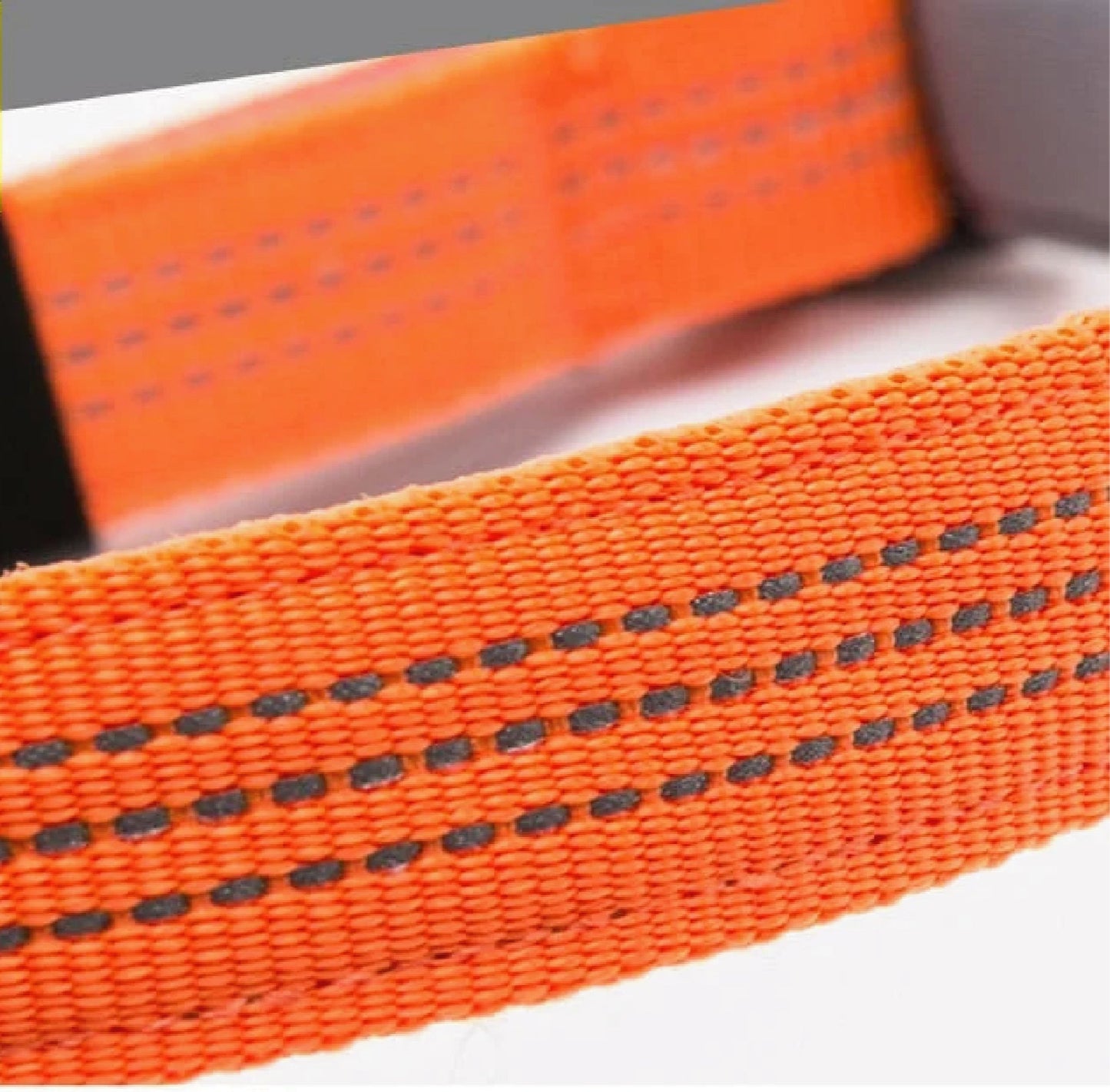 LunarStep™ - LED Navigation Dog Collar