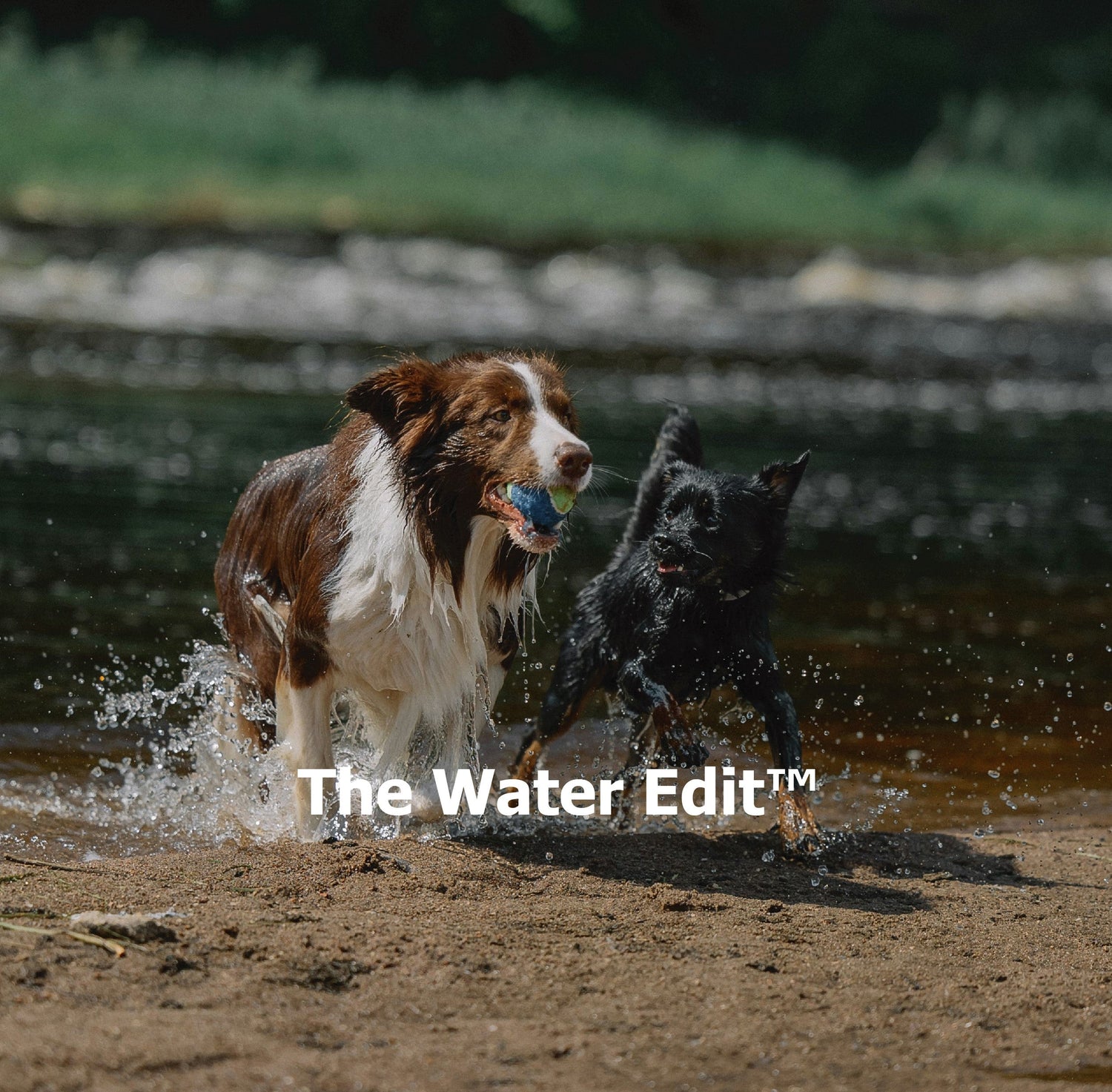 The Water Edit™
