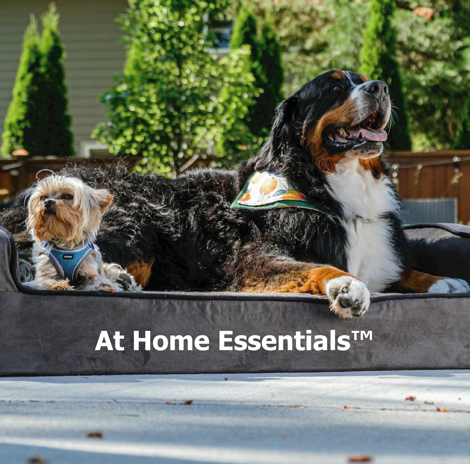 At Home Essentials™