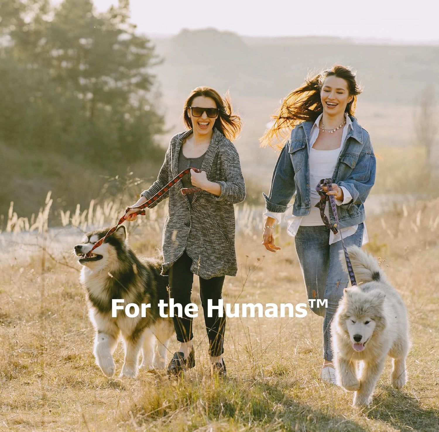 For The Humans™