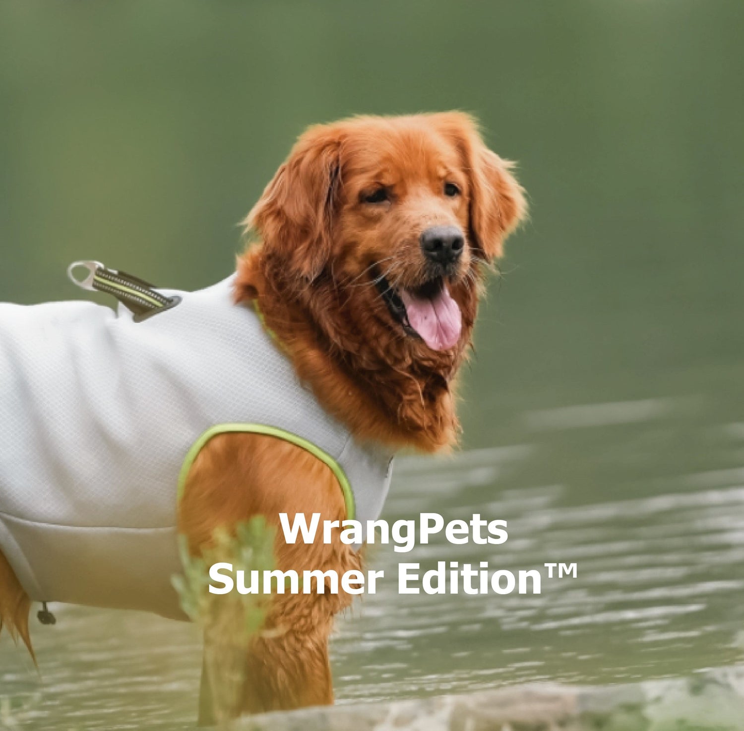 WrangPets Summer Edition™