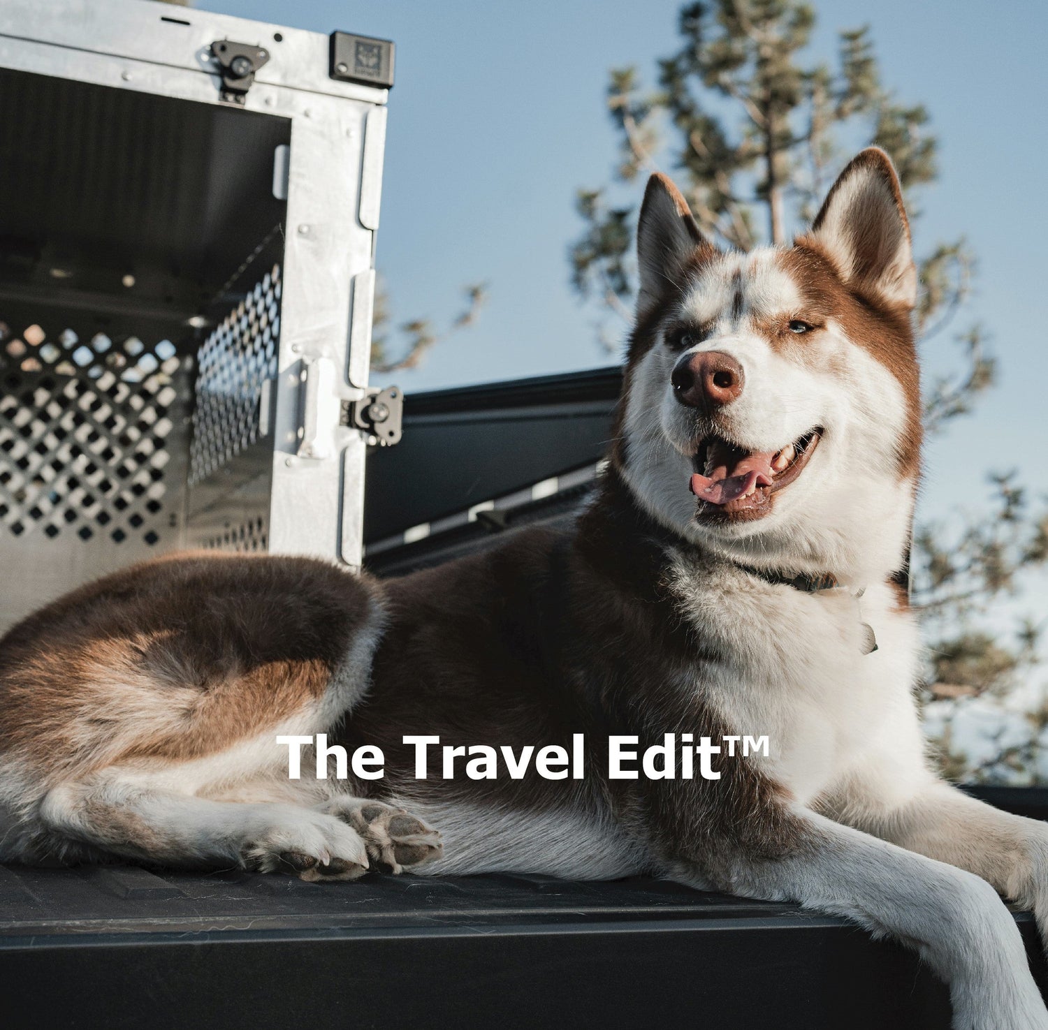 The Travel Edit™