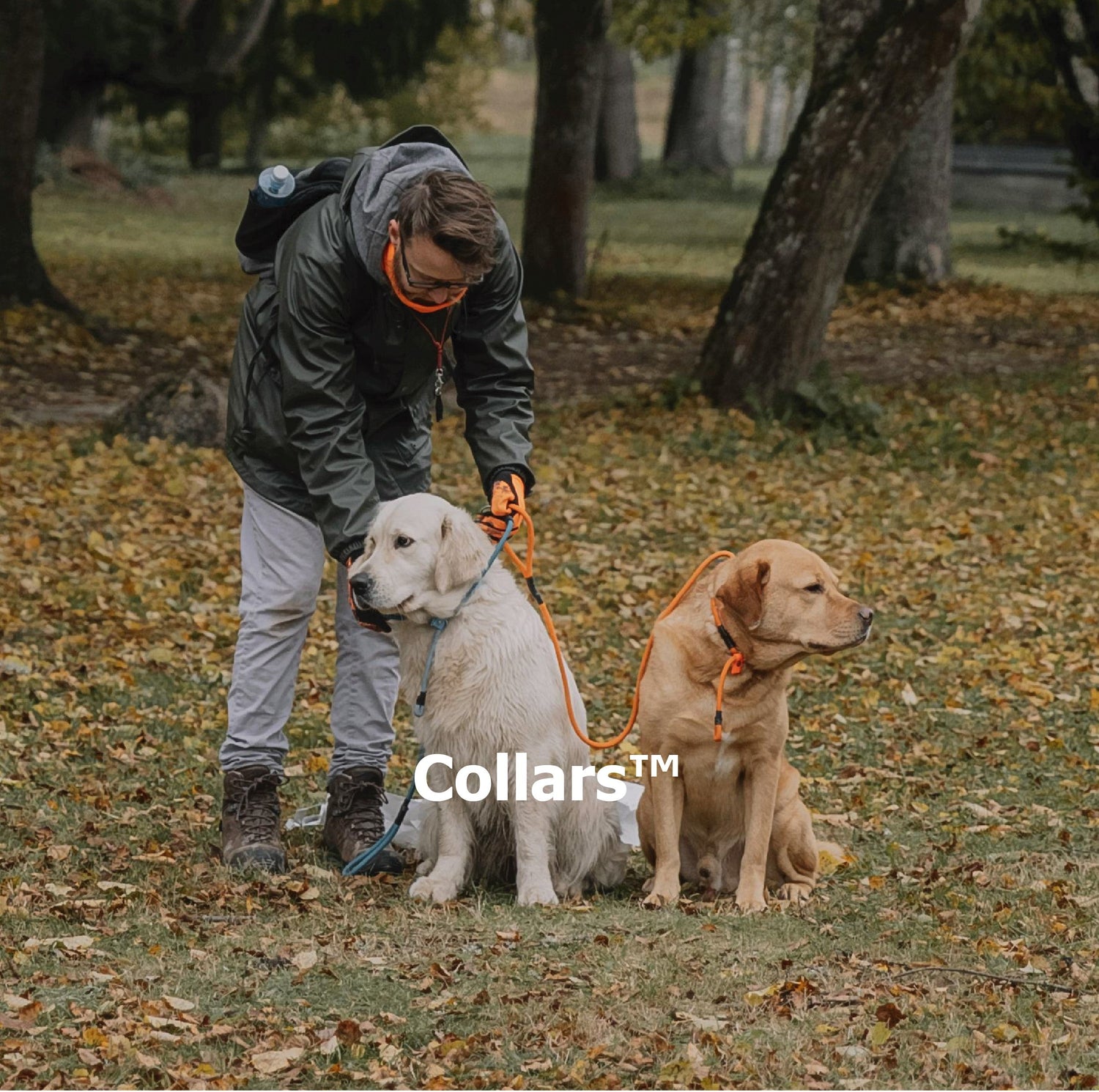 Collars