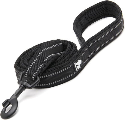 NightStride™ Reflective Adventure Dog Leash