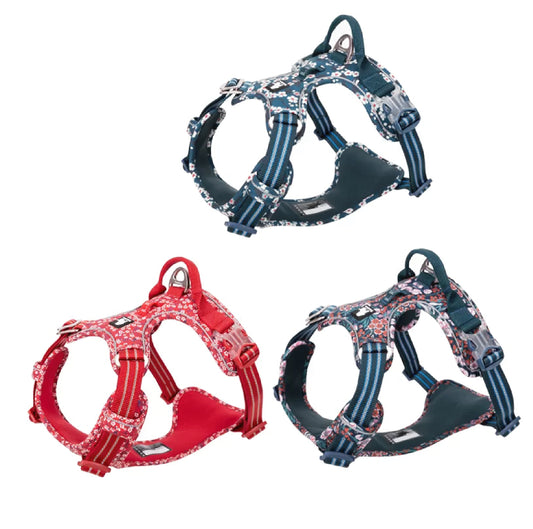 WildBloom™ – Adjustable Floral Control Dog Harness