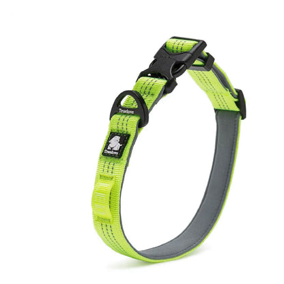 LunarStep™ -  LED Navigation Dog Collar