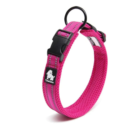 NightStride™ – Reflective Adventure Dog Collar