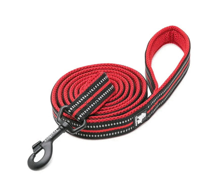 NightStride™ Reflective Adventure Dog Leash