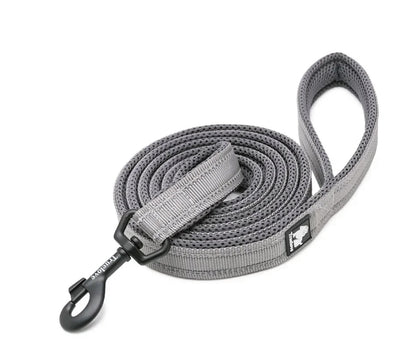 NightStride™ Reflective Adventure Dog Leash
