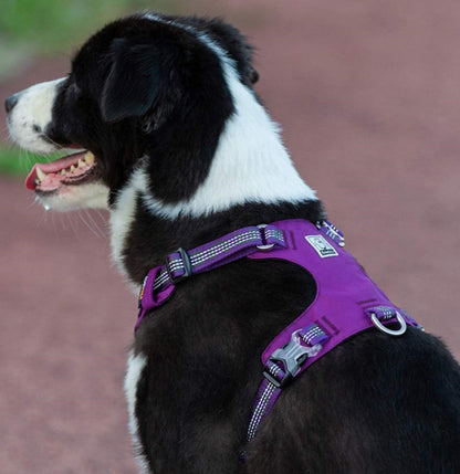 DriftRidge™ – Tactical Control Dog Harness