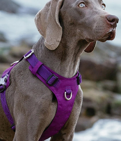 DriftRidge™ – Tactical Control Dog Harness