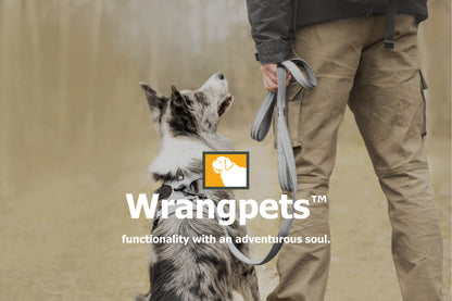 NightStride™ Reflective Adventure Dog Leash