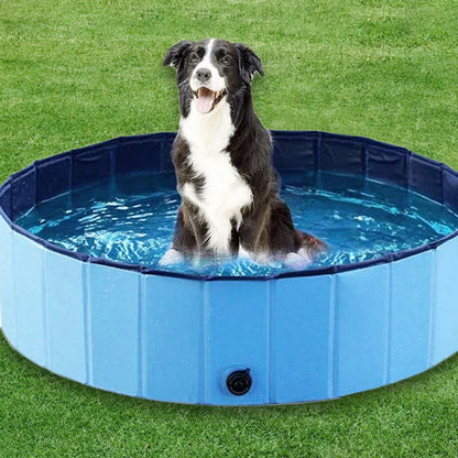 PetWave™ Summer Dog Pet Pool