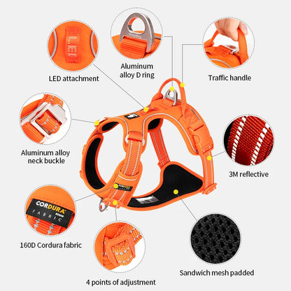 TerraBound™ – Nature Inspired Adventure Dog Harness