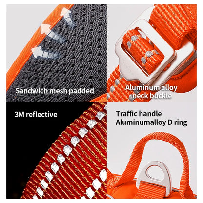 TerraBound™ – Nature Inspired Adventure Dog Harness