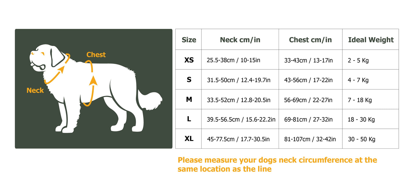 EverRoam™ – Classic Reflective Adventure Dog Harness