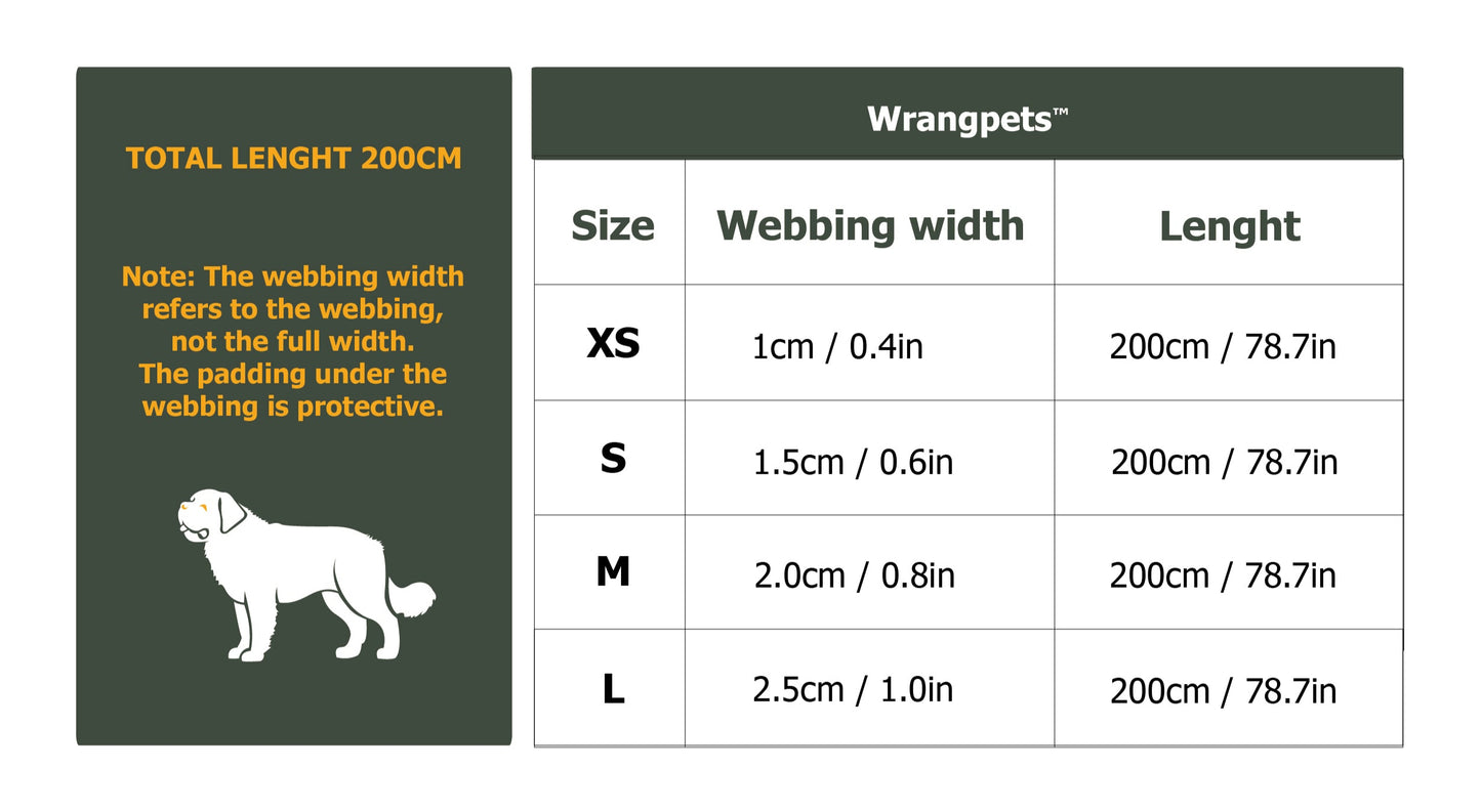 NightStride™ Reflective Adventure Dog Leash