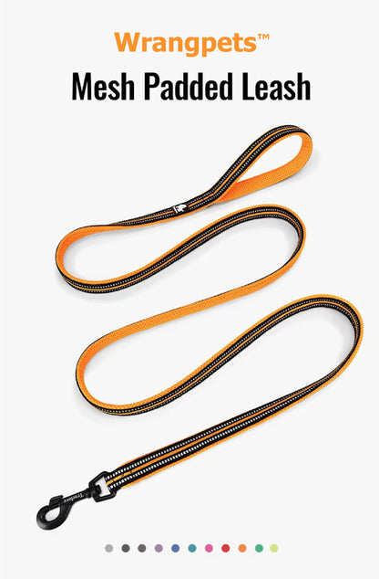 NightStride™ Reflective Adventure Dog Leash