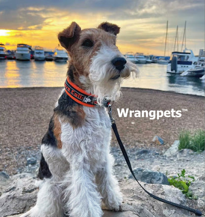 Highcrest™ - Reflective Comfort Dog Collar
