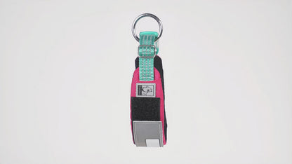 RoverCore™ – Tactical Adventure Dog Collar