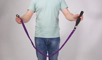 BoulderRush™ – Elastic Control Dog Leash