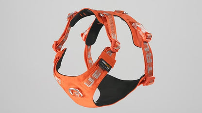 CanyonTrail™ – Rugged Adventure Dog Harness