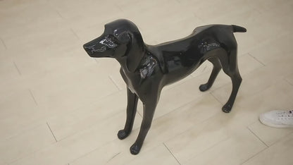 WildBloom™ – Adjustable Floral Control Dog Harness