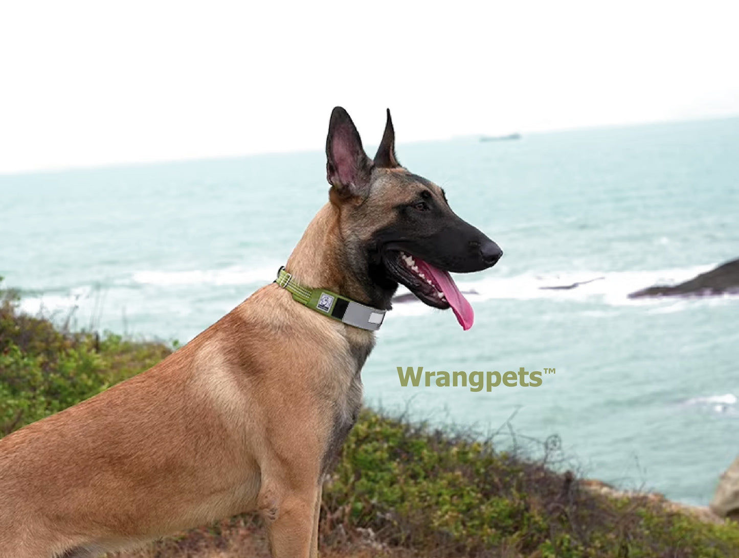 RoverCore™ – Tactical Adventure Dog Collar